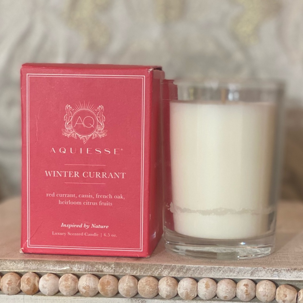 Aquiesse Winter Currant Candle